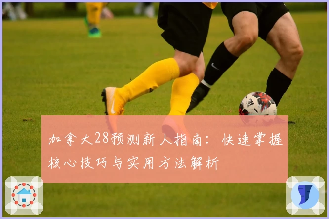 加拿大28预测新人指南：快速掌握核心技巧与实用方法解析