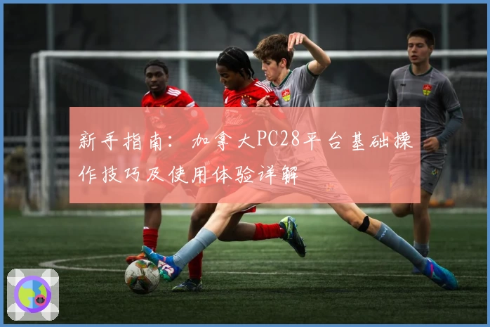 新手指南:加拿大PC28平台基础操作技巧及使用体验详解