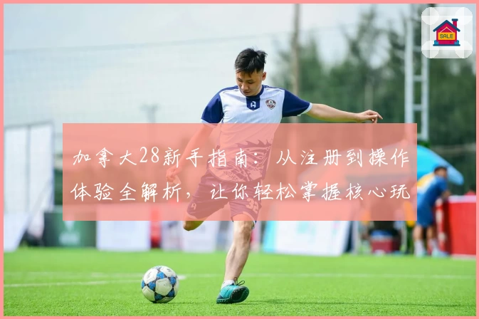 加拿大28新手指南：从注册到操作体验全解析，让你轻松掌握核心玩法