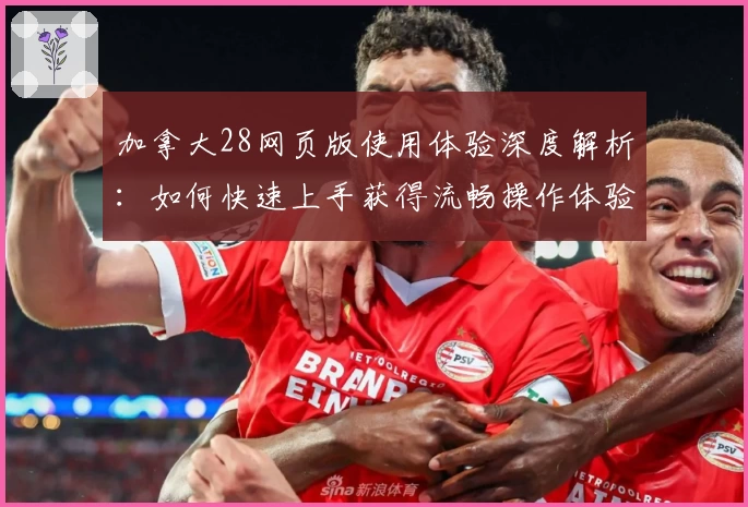 加拿大28网页版使用体验深度解析:如何快速上手获得流畅操作体验