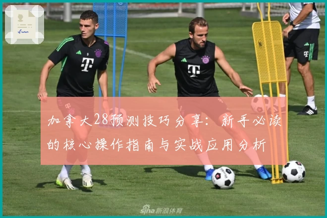 加拿大28预测技巧分享：新手必读的核心操作指南与实战应用分析