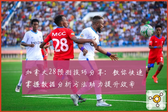 加拿大28预测技巧分享：教你快速掌握数据分析方法助力提升效率