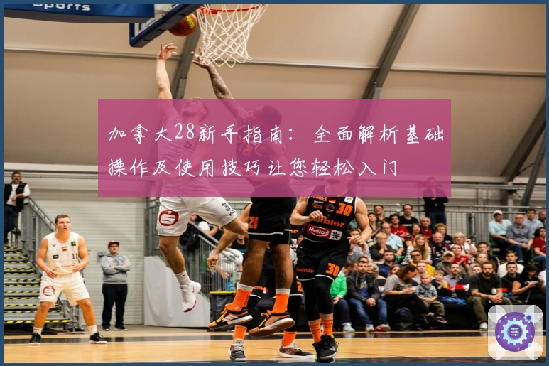 加拿大28新手指南:全面解析基础操作及使用技巧让您轻松入门