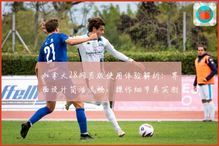 加拿大28网页版使用体验解析：界面设计简洁流畅，操作细节真实测评反馈