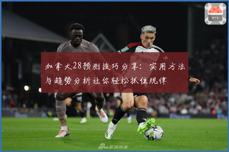 加拿大28预测技巧分享：实用方法与趋势分析让你轻松抓住规律